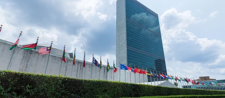Challenges and Responses for the United Nations in a Period of Turbulence and Transformation